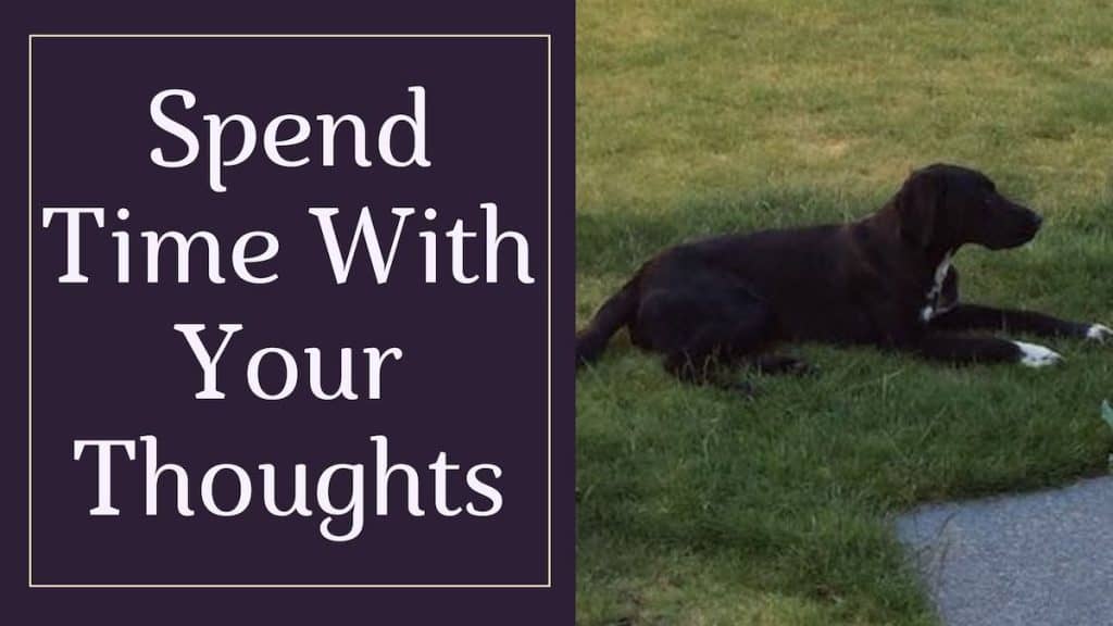 A banner with Pancho and the words "spend some time with your thoughts