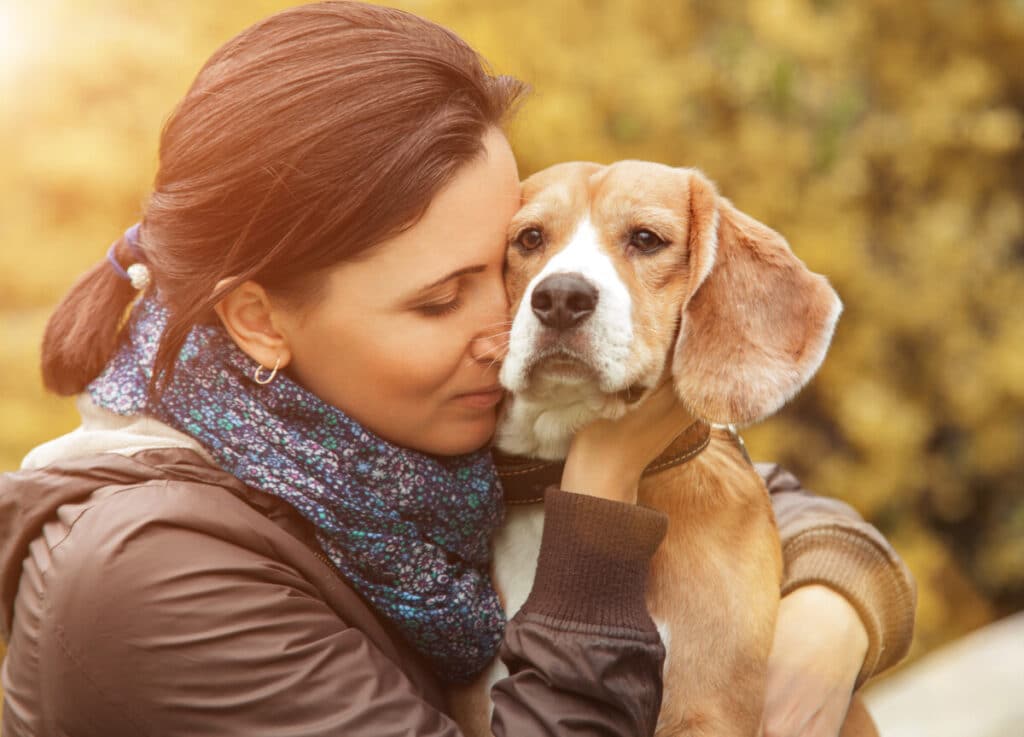 timeline-of-signs-as-a-dog-goes-through-the-dying-process-farewell-pet